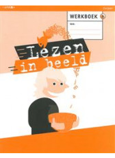 Lezen in beeld - werkboek B 